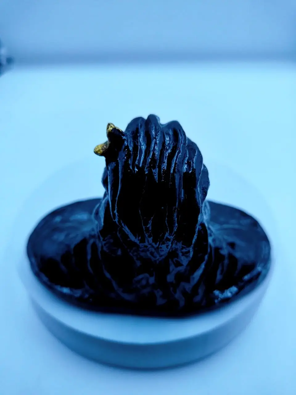 /storage/photos/1/Products/Cow Dung Product/adiyogi (5).webp